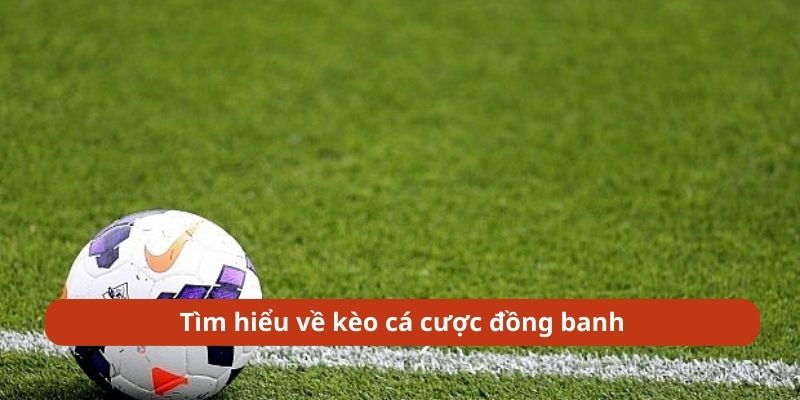 tìm hiểu về kèo đồng banh