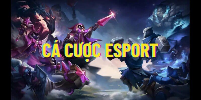 Tổng quan về trò chơi cá cược Esports Ku11