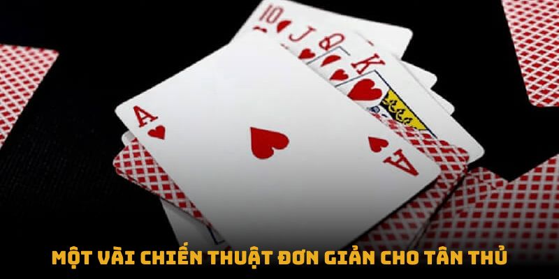 Thông tin cơ bản dành cho người mới bắt đầu